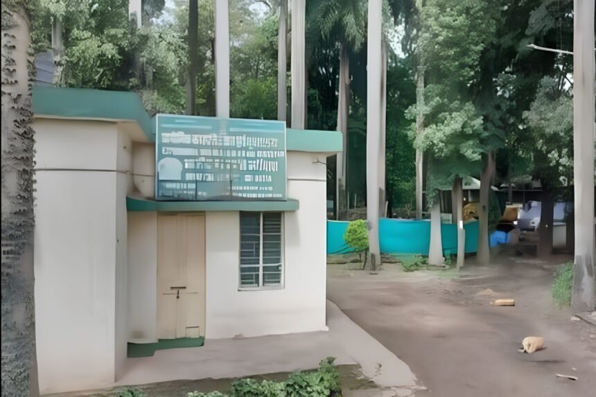 Small green-roofed structure on the disputed Mundhwa land plot, surrounded by trees